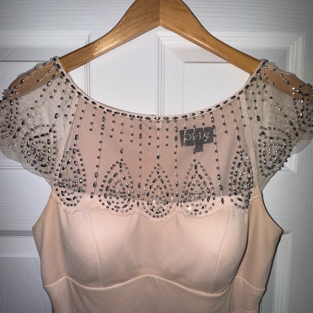 Mother of the Bride Mesh Nude/Blush Dress